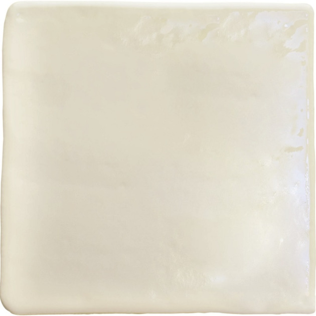 Roots White Gloss plytelės (5)
