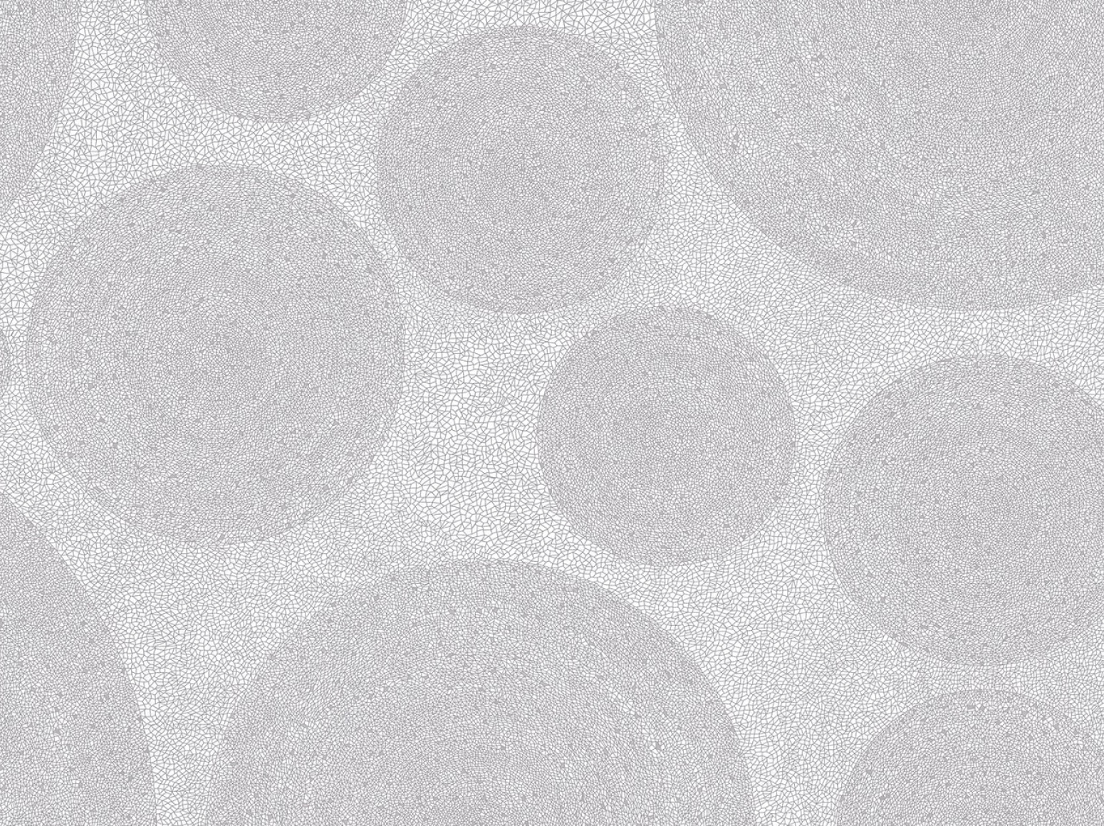 Holos Hyams White plytelės