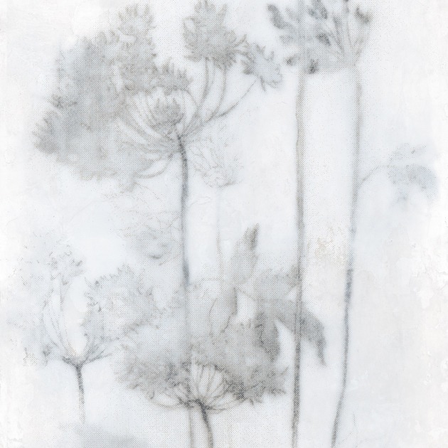 Espoir Froid plytelės (5)
