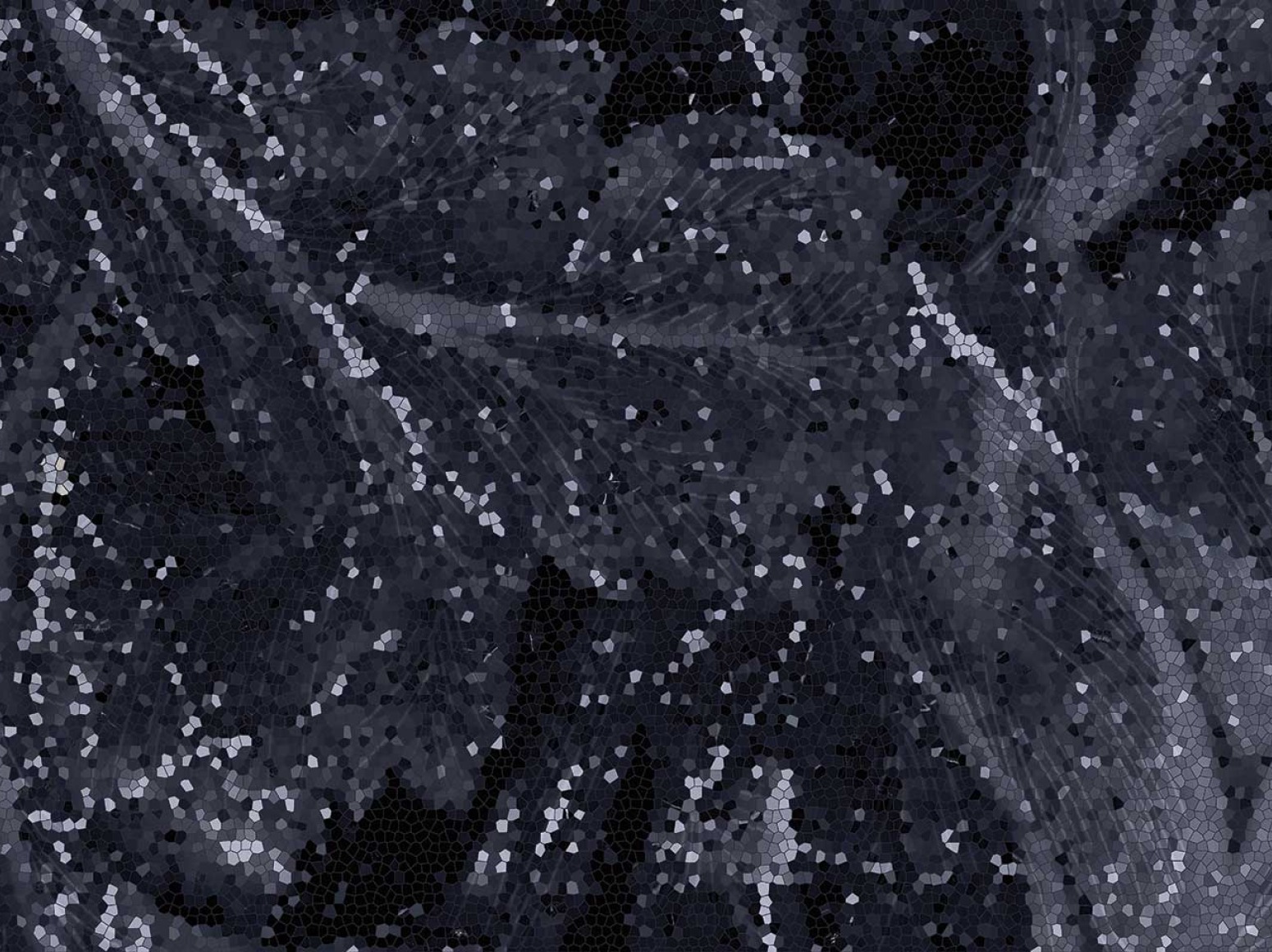 Acanto Calacatta Black plytelės