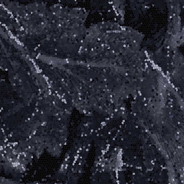 Acanto Calacatta Black plytelės (5)