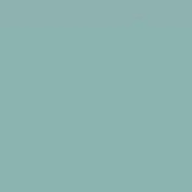 Liso XL Teal plytelės (4)