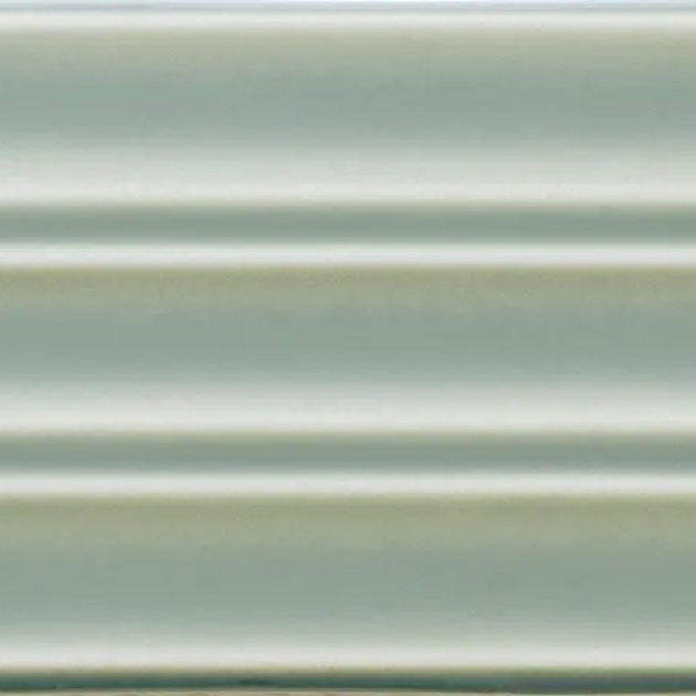 Fayenza Belt Fern plytelės (3)