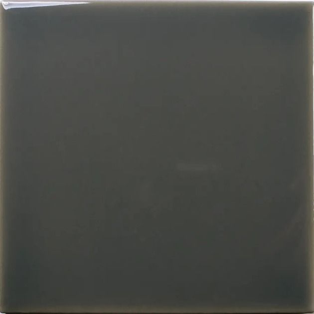 Fayenza Ebony plytelės (4)