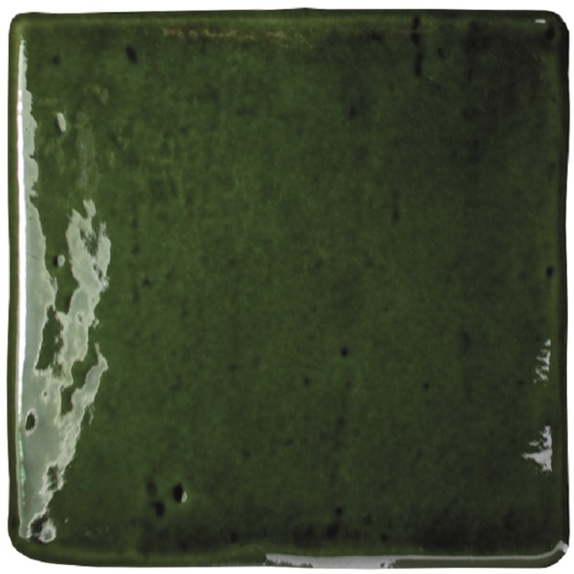 Roots Olive Gloss plytelės (4)