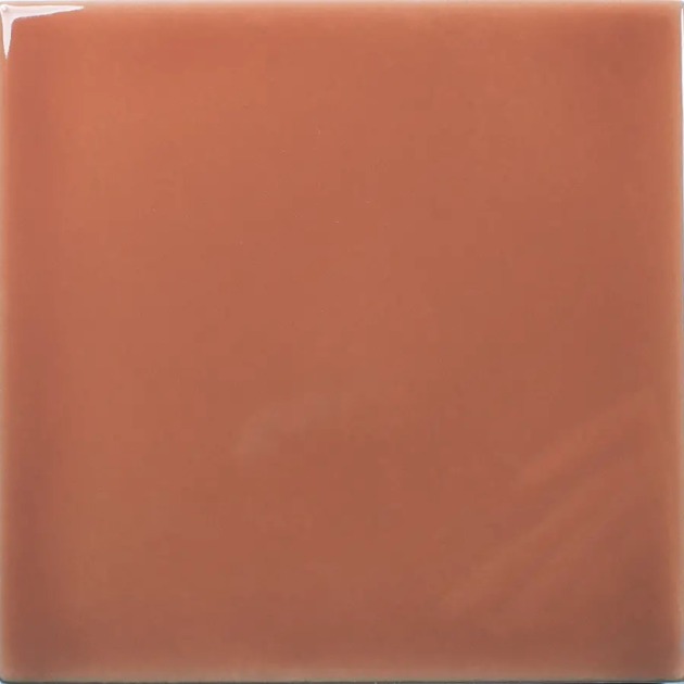 Fayenza Coral plytelės (4)