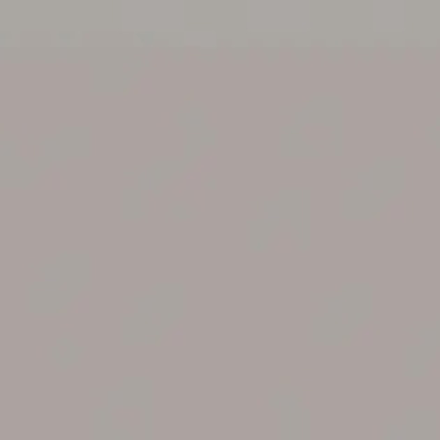 Liso XL Grey plytelės (3)