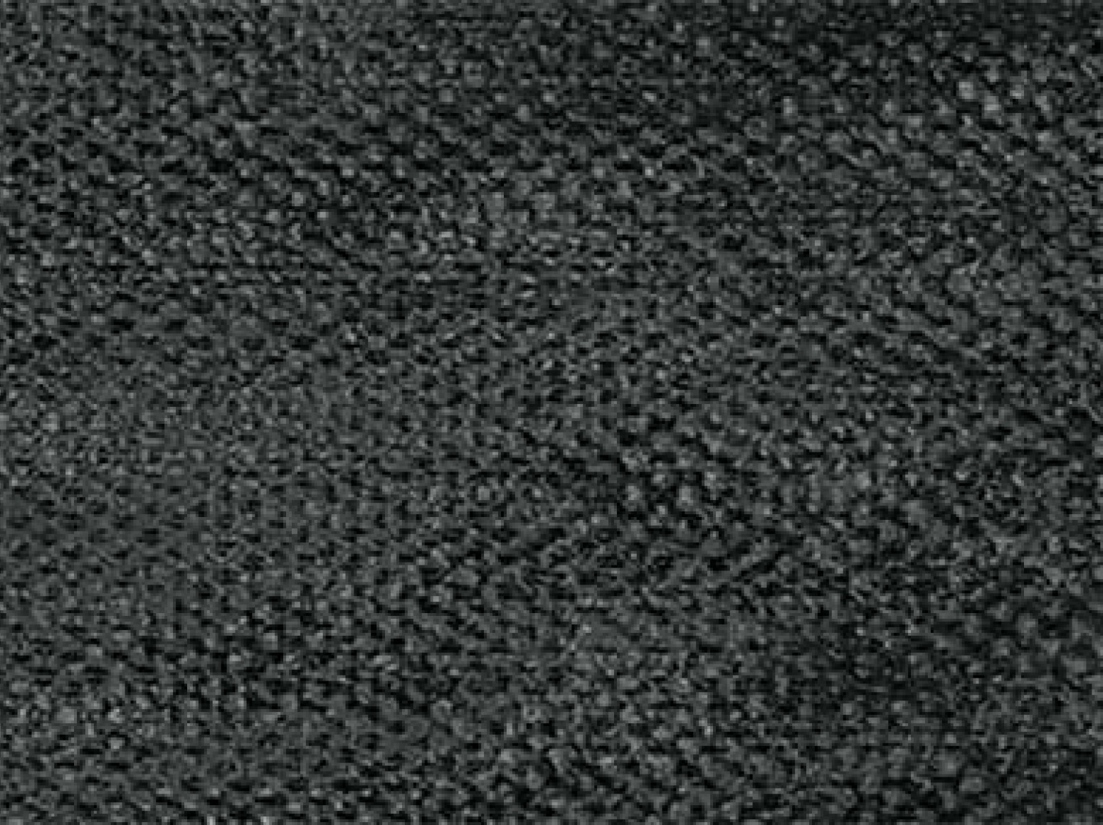 Black Canvas