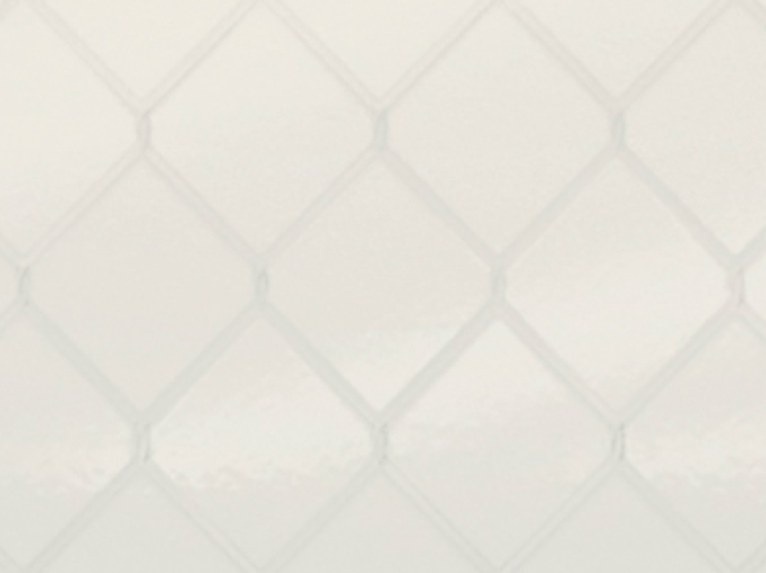 Fence White