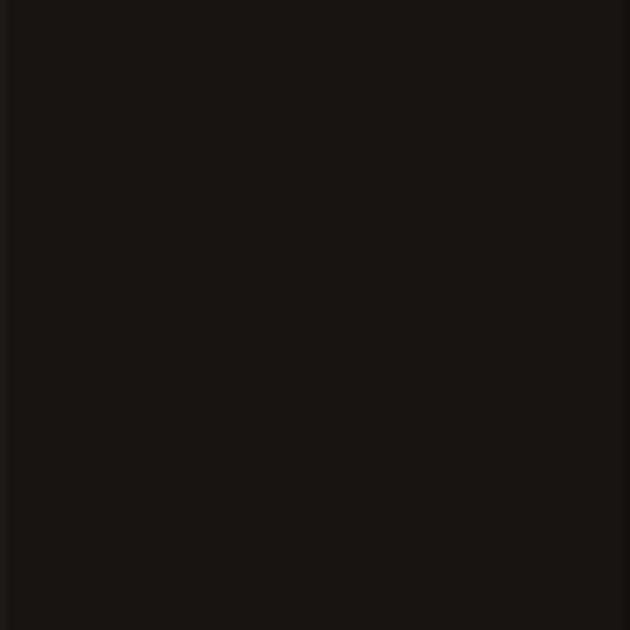 Deep Black plytelės (2)