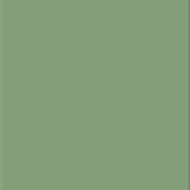 Dark Green plytelės (2)