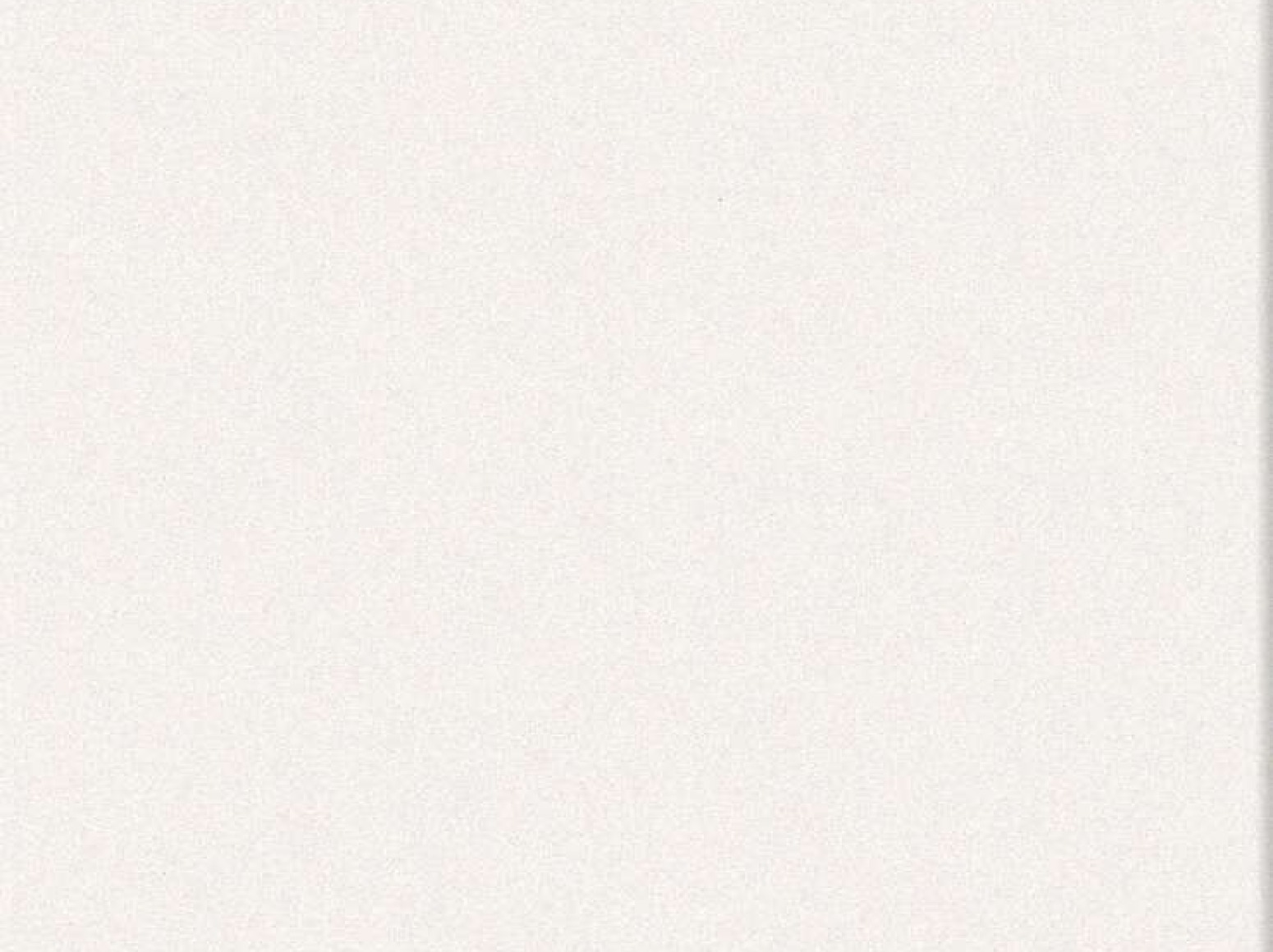 Active White Gloss plytelės