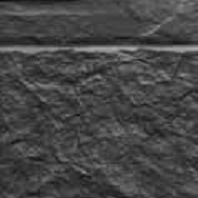 30x120cm Minimal Noir (4)
