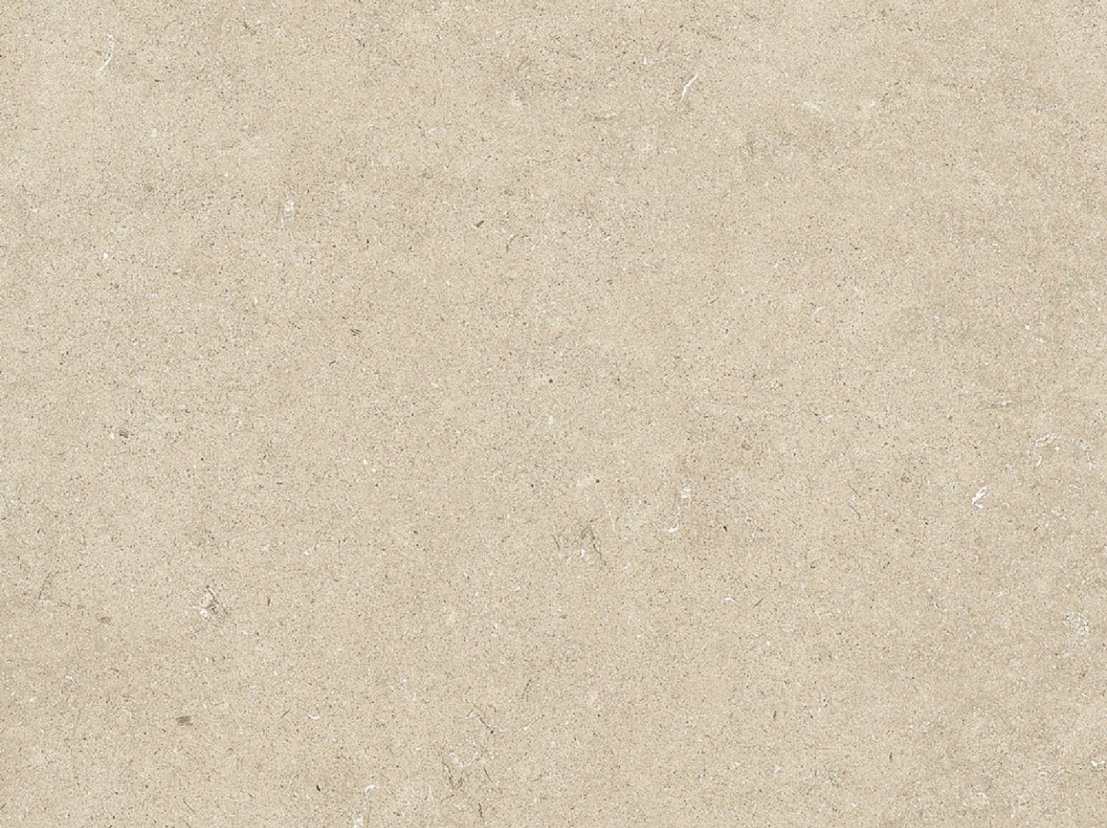Limestone Beige plytelės