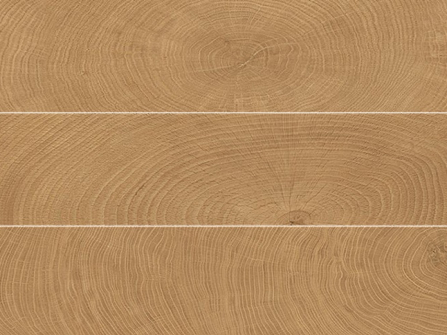 W-Circles Walnut plytelės