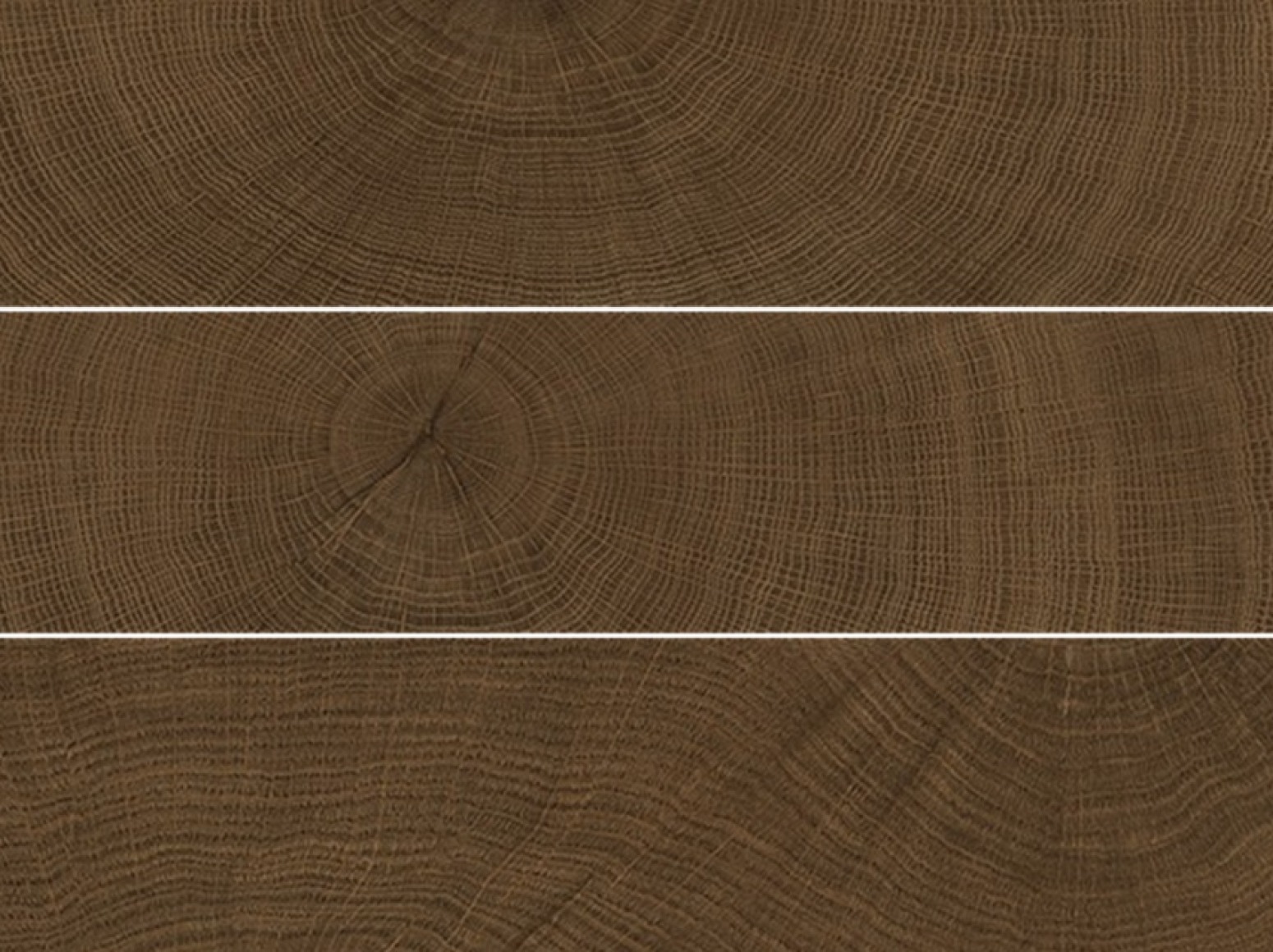 W-Circles Wenge plytelės