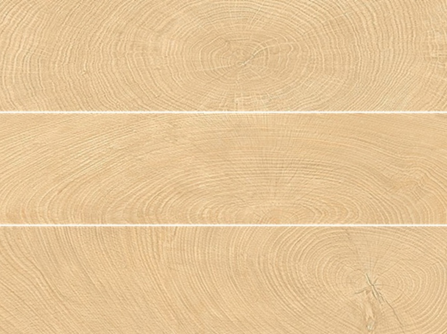 W-Circles Oak plytelės