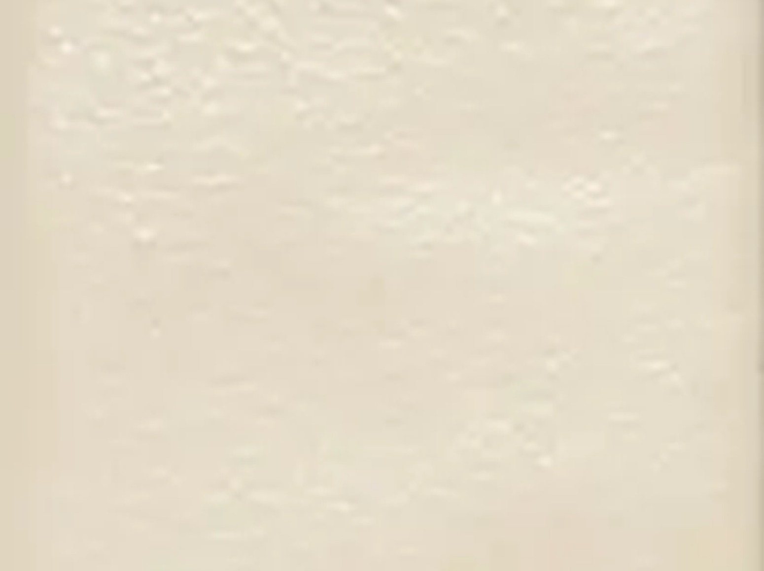 LC Bone Matt plytelės