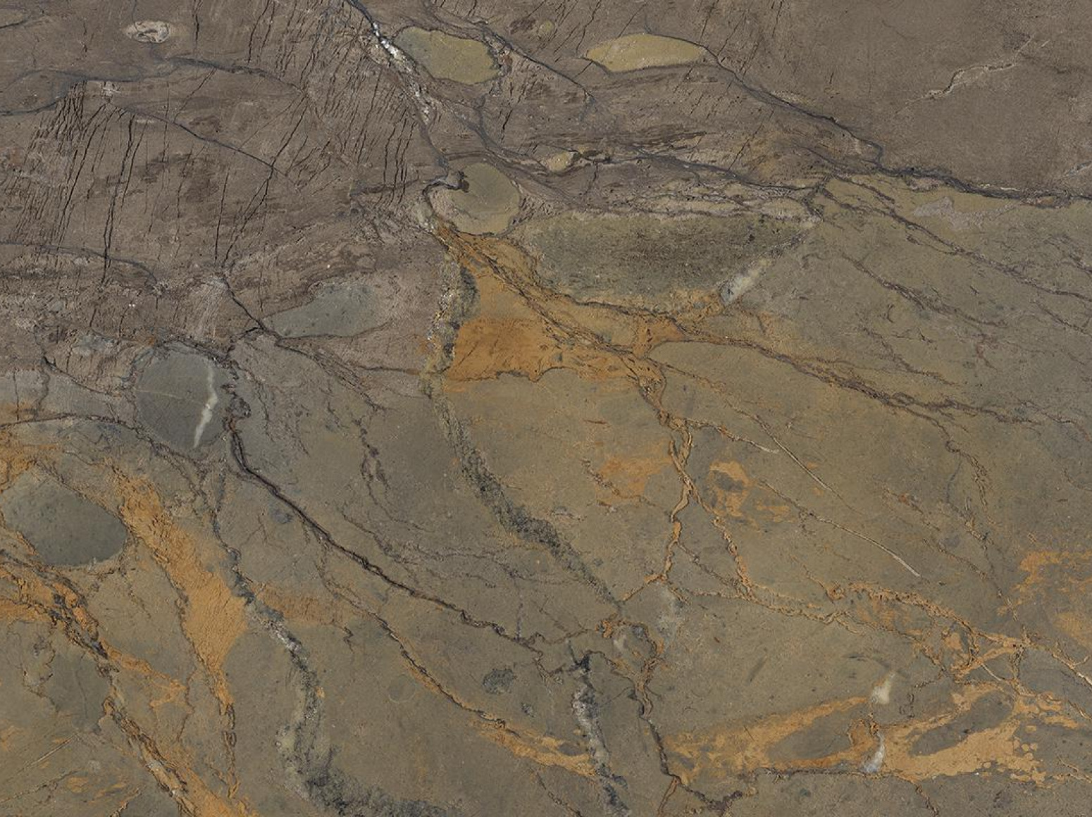 Fossil Brown Malevic plytelės